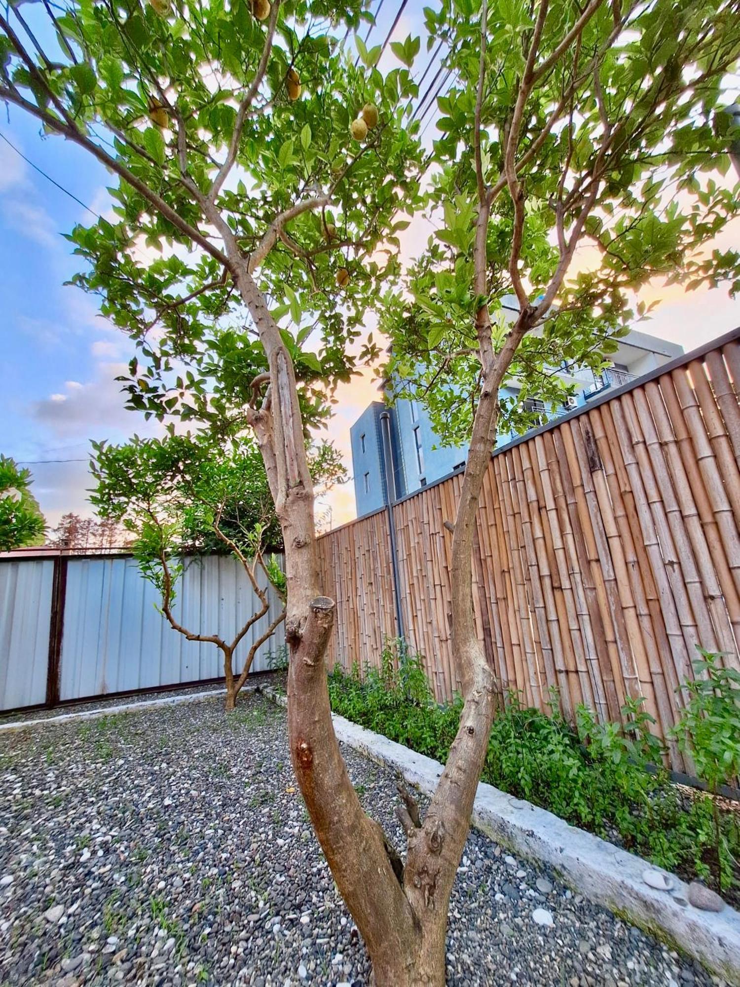 House In Gonio-Kvariati Economy Class Exterior foto